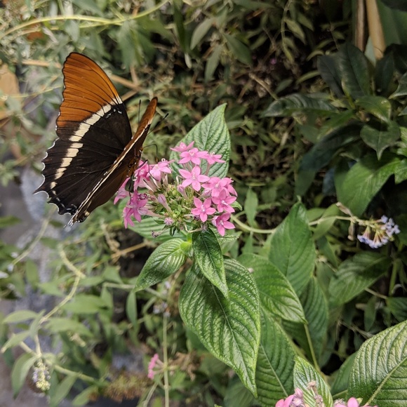 Meet your Posher, Irum - Picture 1 of 1